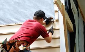 Best Historical Building Siding Restoration  in Mondovi, WI